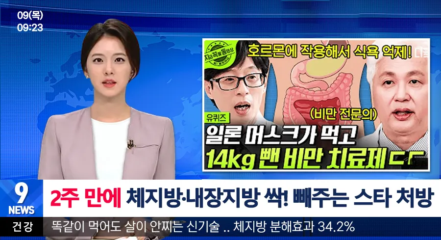 SDLH 브랜드 소개 이미지